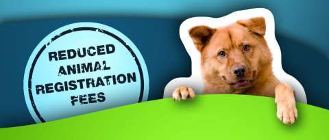 Discounted fee apply for unregistered pets until Thursday 11 February.