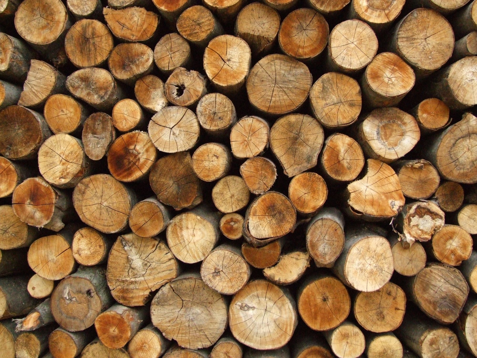 Removal of firewood - Greater Shepparton City Council