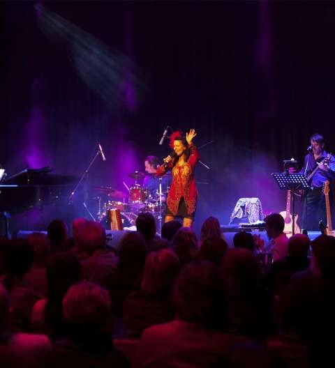 Kelly Auty – Backwards in High Heels. Wednesday 8 February, 2.00pm. Riverlinks Eastbank	
