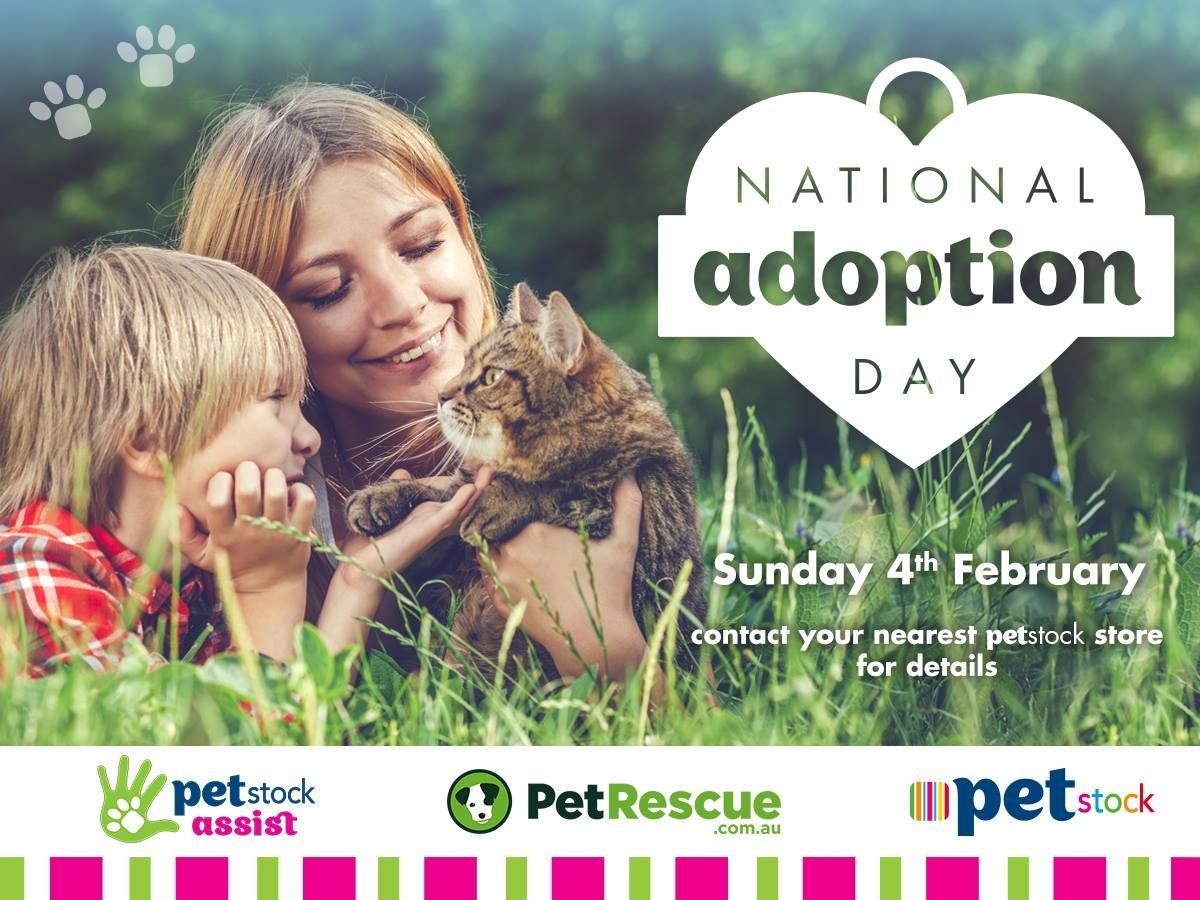 National Pet Adoption Day on this Sunday Greater Shepparton City Council