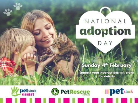 26910448 10155442842592476 4856245786810711776 o