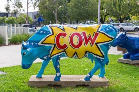 Mooving Art Cows-20160329-2625