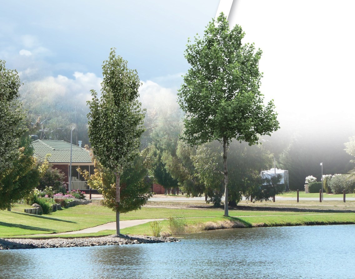 Shepparton and Mooroopna 2050 Regional City Growth Plan Key Issues