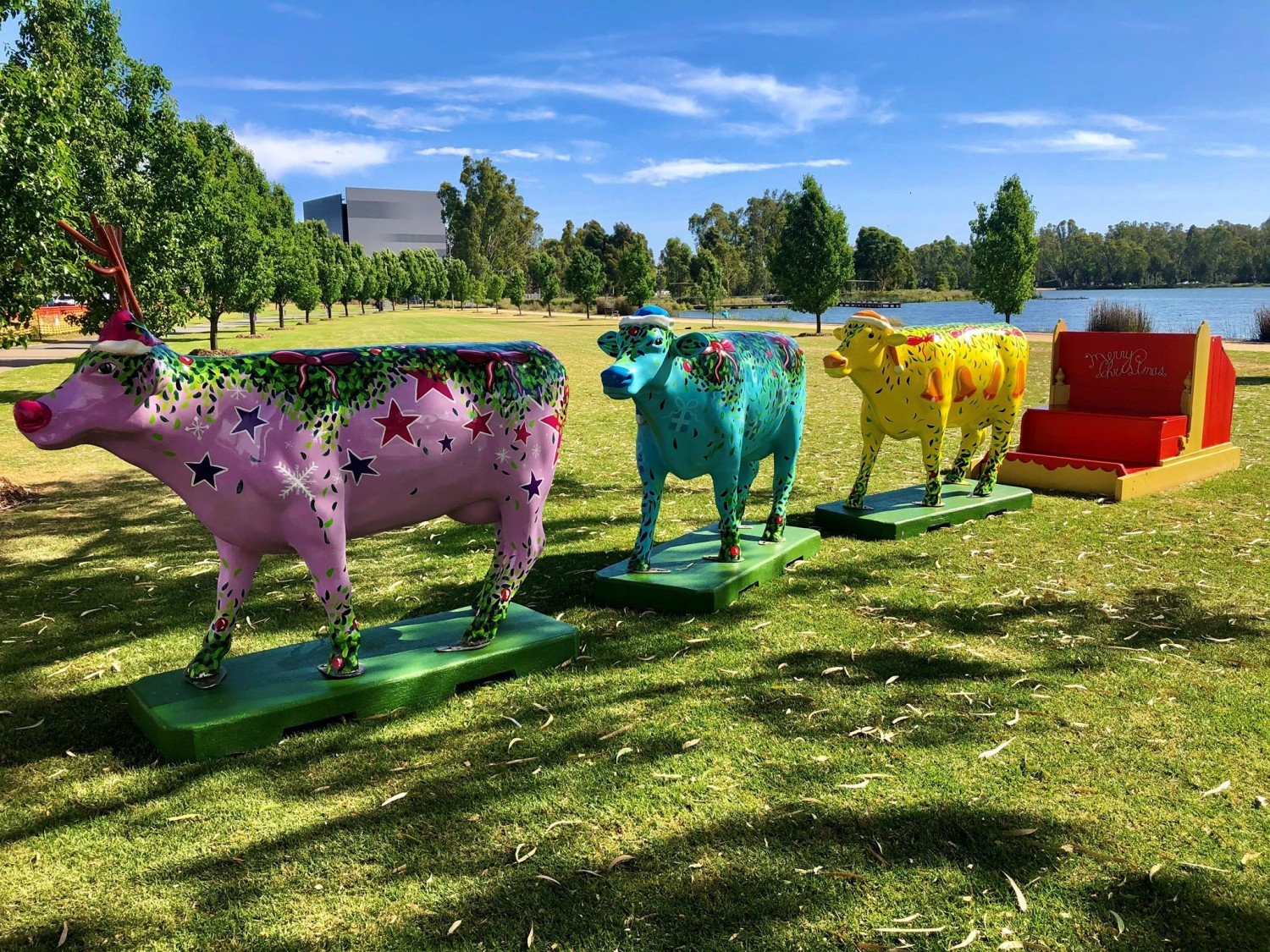 Vandals Target Christmas Cows Greater Shepparton City Council
