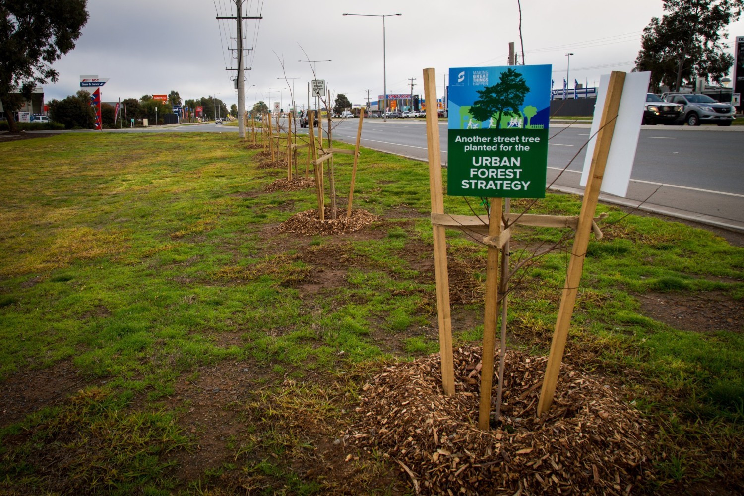 Street tree planting underway across Greater Shepparton Greater