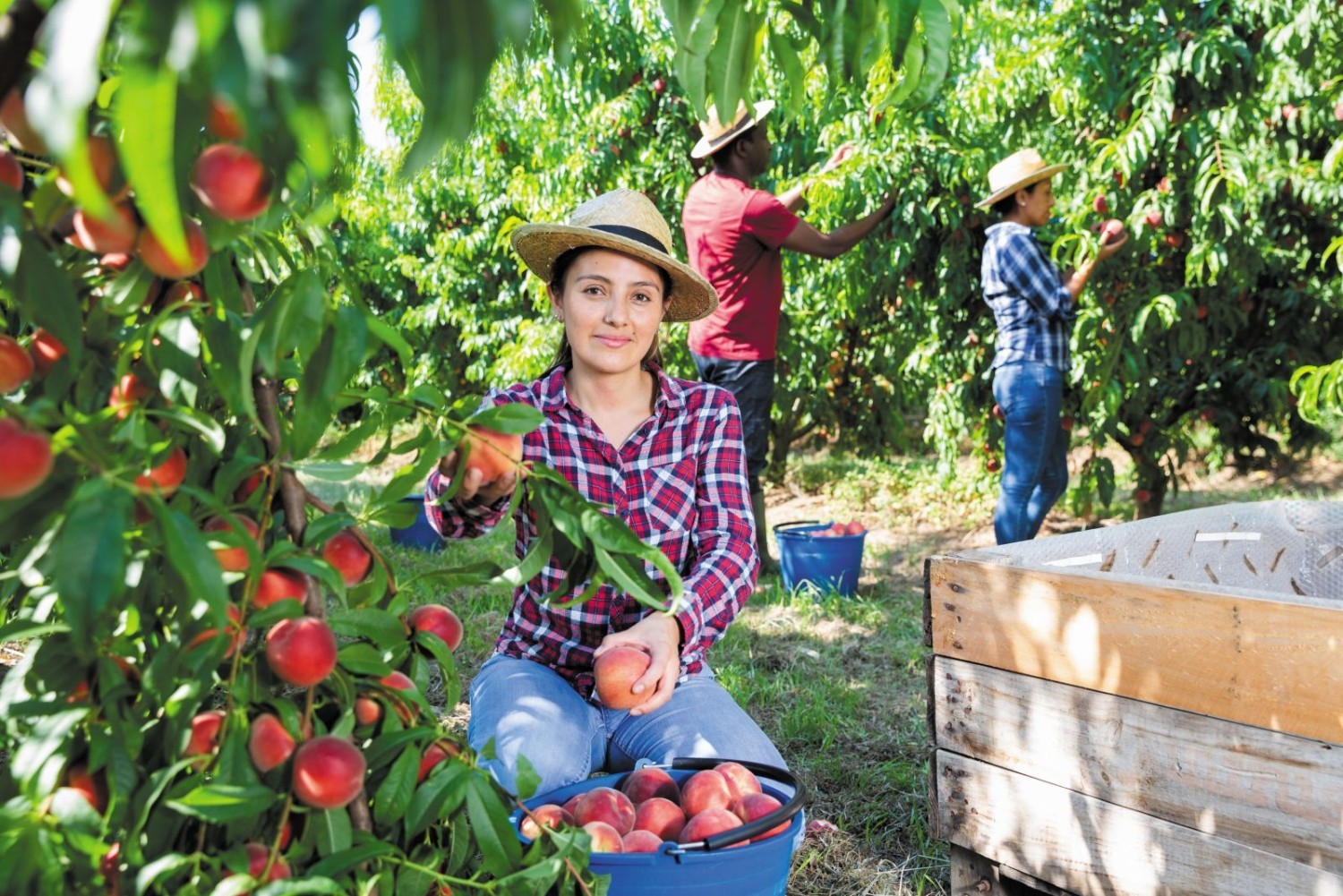 Council To Host Trade Stand At Asia Fruit Logistica 2024 Greater council-to-host-trade-stand-at-asia-fruit-logistica-2024-greater