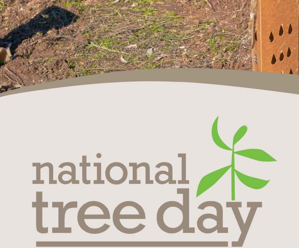 Cover image for event - National Tree Day 2024