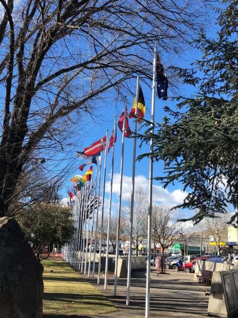 Following community consultation, Council has voted to not proceed with the potential Avenue of Flags.