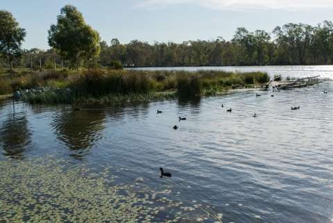 Victoria Park Lake
