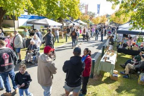 A crowd at the Tatura Market