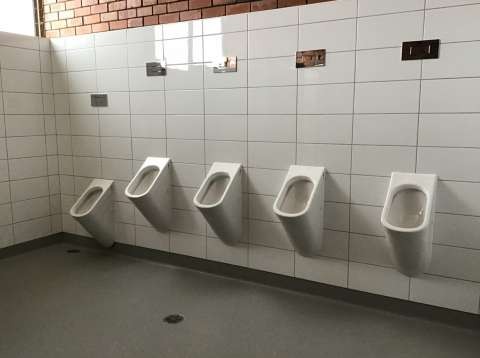 Refurbished Toilets1