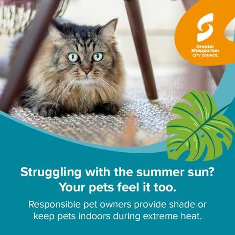 Resposible Pet Ownership - Social media - Static Posts 02