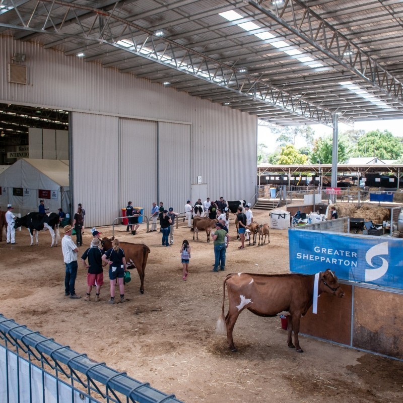 International Dairy Week set to boost region and showcase Australian excellence