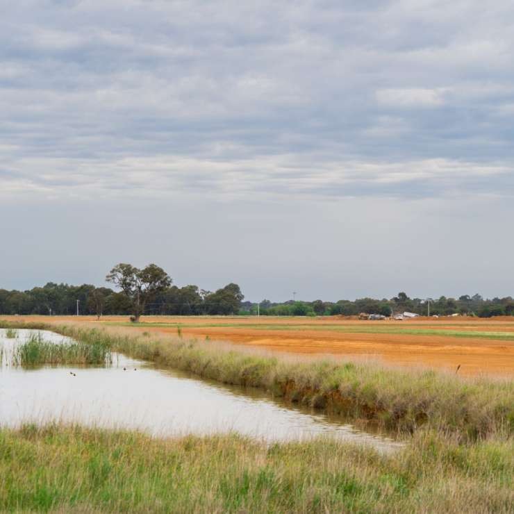 GV Link Enterprise Park By Lingy harhangi 21.10 .2025 11  