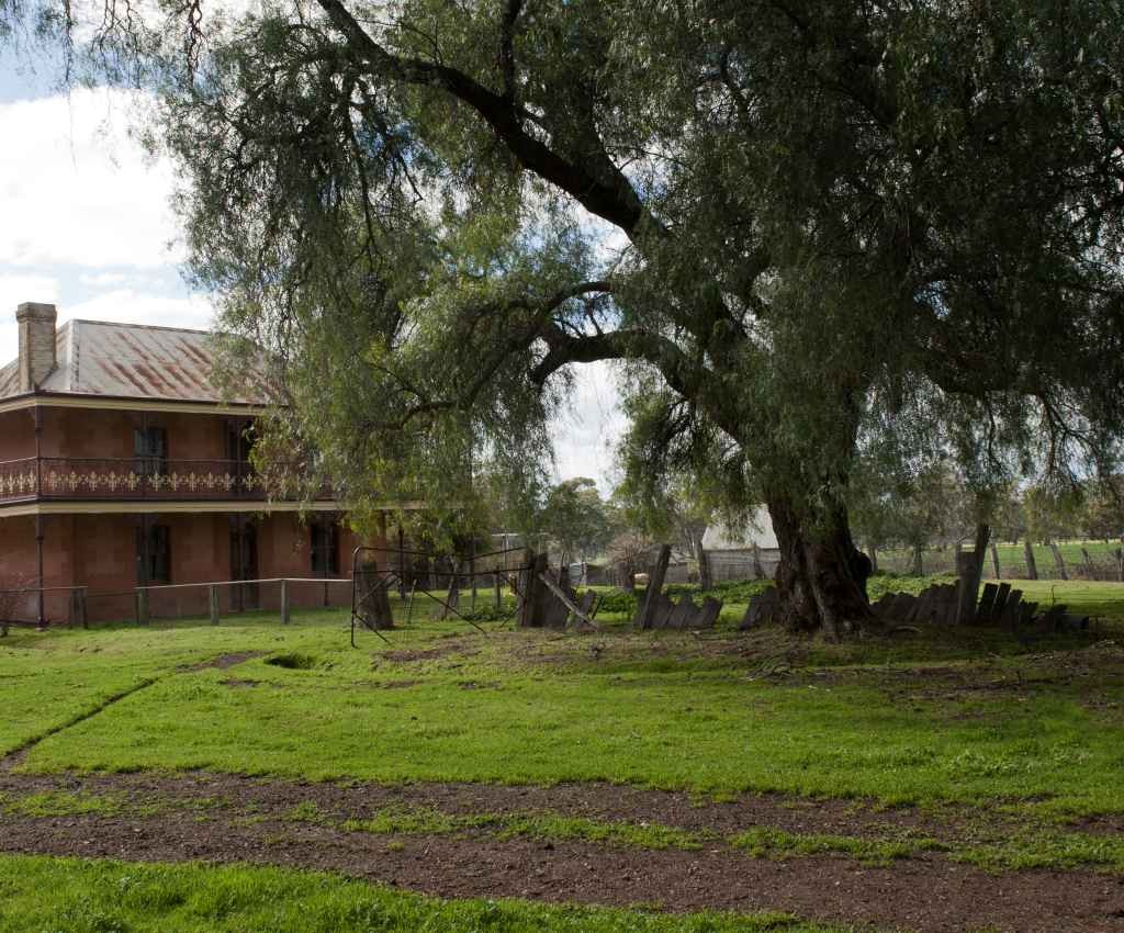 Cover image for event - Days Mill Open Day